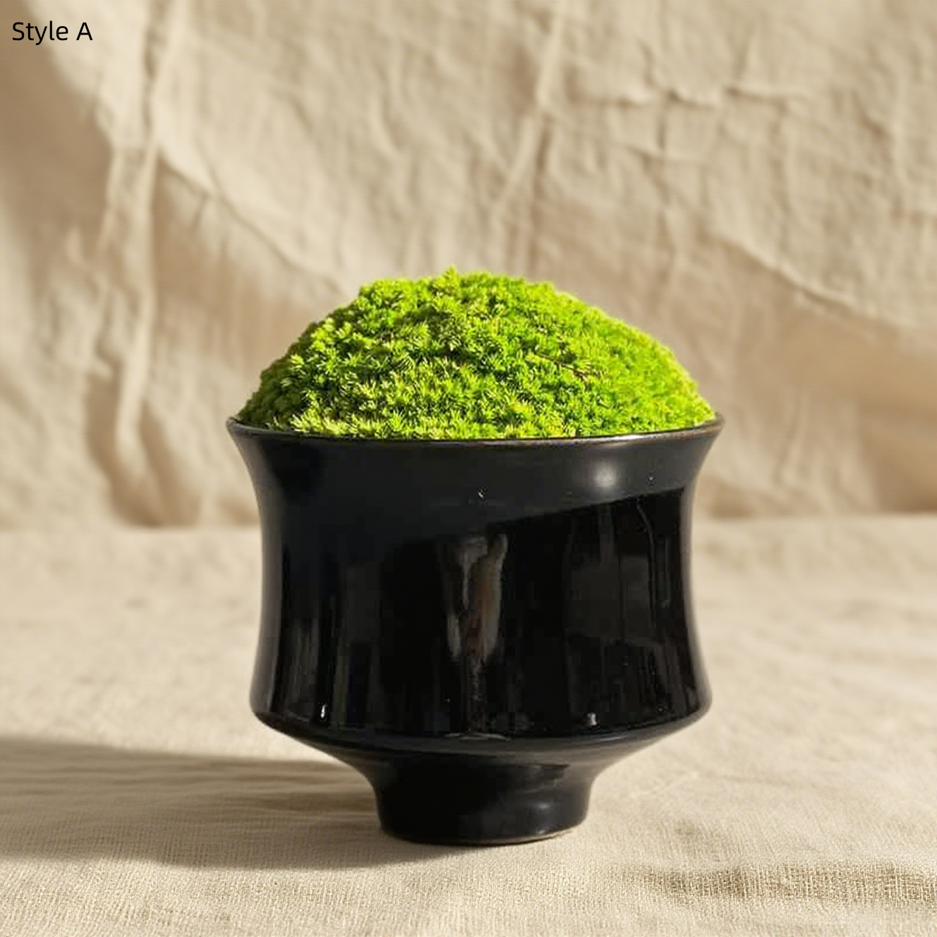Preserved Bonsai Flower Arrangement: Wabi-Sabi Moss Art Decor