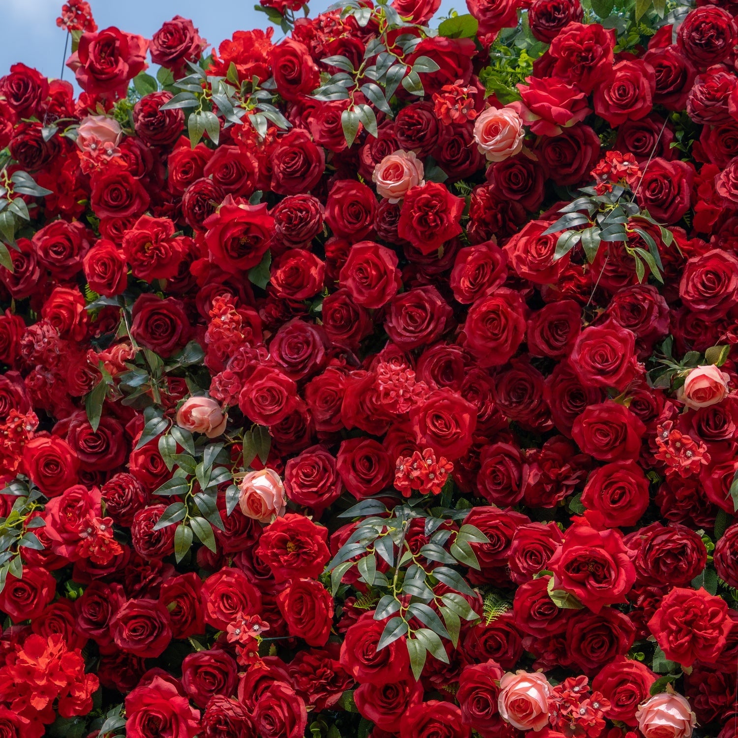 5D Burgundy Red Rose Flower With Green Leaf Backdrop: 8x8ft Silk Wedding And Propose Decor