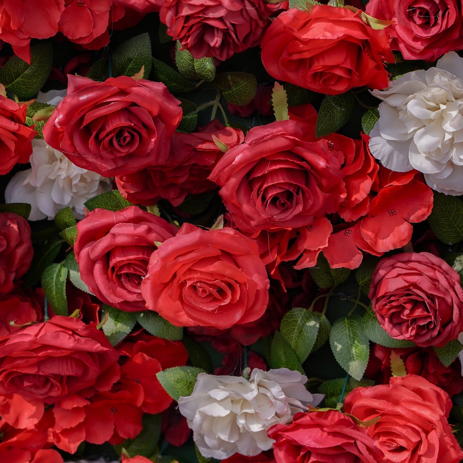 5D Red & White Silk Flower Wall Backdrop: 8x8ft Wedding, Party And Event Decor