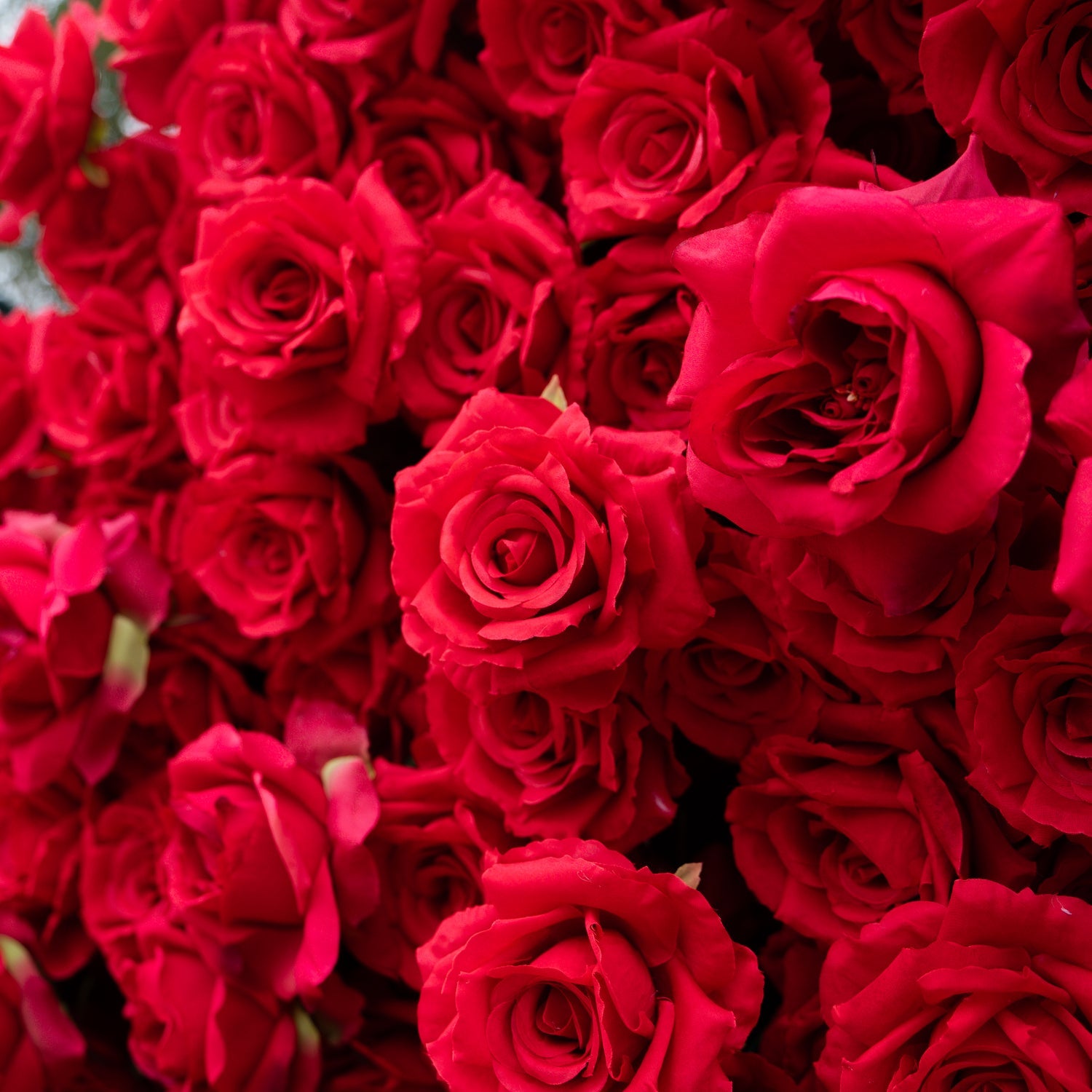 Red Silk Flower Heart-Shaped Wall: Heart-Shaped Wedding Backdrop With Stand And Flooring Garlands 6.5/7.8Ft (2m/2.4m)
