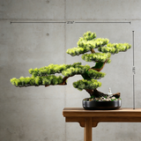 Handmade Bonsai Tree Art With Natural Wood And Stone(70cm*46cm), Zen Style Home And Office Decor