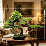 Large New Asian-Style Zen Bonsai, Real Wood S-Curve Trunk with High-Fidelity Pine, Sculptural Japandi Centerpiece, Wabi-Sabi Desk Decor