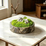 Preserved Moss Bowl, Natural Marble Zen Tabletop Decor, Wabi Sabi Moss Dish Centerpiece, Minimalist Coffee Table Office Plant