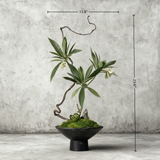 Handmade Preserved Moss Bonsai (60cm*35cm) With Natural Wood Branch Arrangement with Ceramic Vase. Zen Decor for Home & Office, Indoor Plant Gift