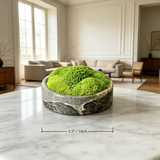 Preserved Moss Bowl, Natural Marble Zen Tabletop Decor, Wabi Sabi Moss Dish Centerpiece, Minimalist Coffee Table Office Plant