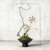 Handmade Preserved Moss Bonsai (60cm*35cm) With Natural Wood Branch Arrangement with Ceramic Vase. Zen Decor for Home & Office, Indoor Plant Gift