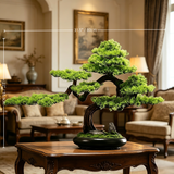 Large New Asian-Style Zen Bonsai, Real Wood S-Curve Trunk with High-Fidelity Pine, Sculptural Japandi Centerpiece, Wabi-Sabi Desk Decor