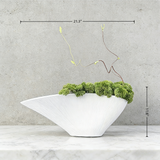 Exclusive Handmade Bonsai With Natural Branch And Ceramic Vase, Wabi Sabi Style Home Decoration