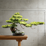 Handmade Bonsai Tree Art With Natural Wood And Stone(70cm*46cm), Zen Style Home And Office Decor