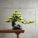 Handmade Bonsai Tree Art With Natural Wood And Stone(70cm*46cm), Zen Style Home And Office Decor