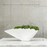 Exclusive Handmade Bonsai With Natural Branch And Ceramic Vase, Wabi Sabi Style Home Decoration