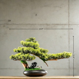 Handmade Bonsai Tree Art With Natural Wood And Stone(70cm*46cm), Zen Style Home And Office Decor