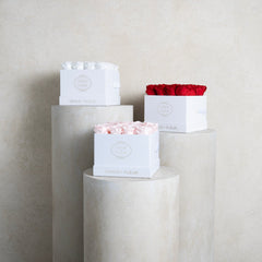 Small Square