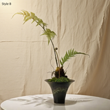 Wabi-Sabi Preserved Moss Bonsai: Handmade Floral Arrangement