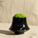Preserved Bonsai Flower Arrangement: Wabi-Sabi Moss Art Decor