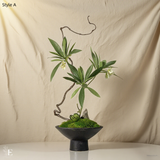 Wabi-Sabi Preserved Moss Bonsai: Handmade Floral Arrangement