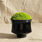 Preserved Bonsai Flower Arrangement: Wabi-Sabi Moss Art Decor