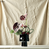 Preserved Bonsai Flower Arrangement: Wabi-Sabi Moss Art Decor