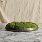 Preserved Moss Bonsai: Handmade Copper Vase Zen Decor