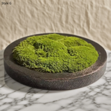 Preserved Moss Bonsai: Handmade Copper Vase Zen Decor