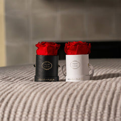 Le Mini Round