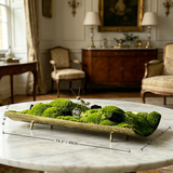 19.3" Solid Brass Moss Tray Centerpiece with Crystal & Ant Detail, Whimsical Biophilic Coffee Table Decor, Luxury Wabi-Sabi Landscape