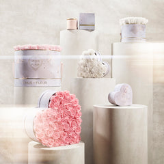 Flèche de Eros Bundle Set