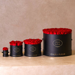 Le Mini Round