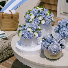 Small Round Roses & Hydrangeas