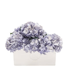 Serene Porcelain Vase
