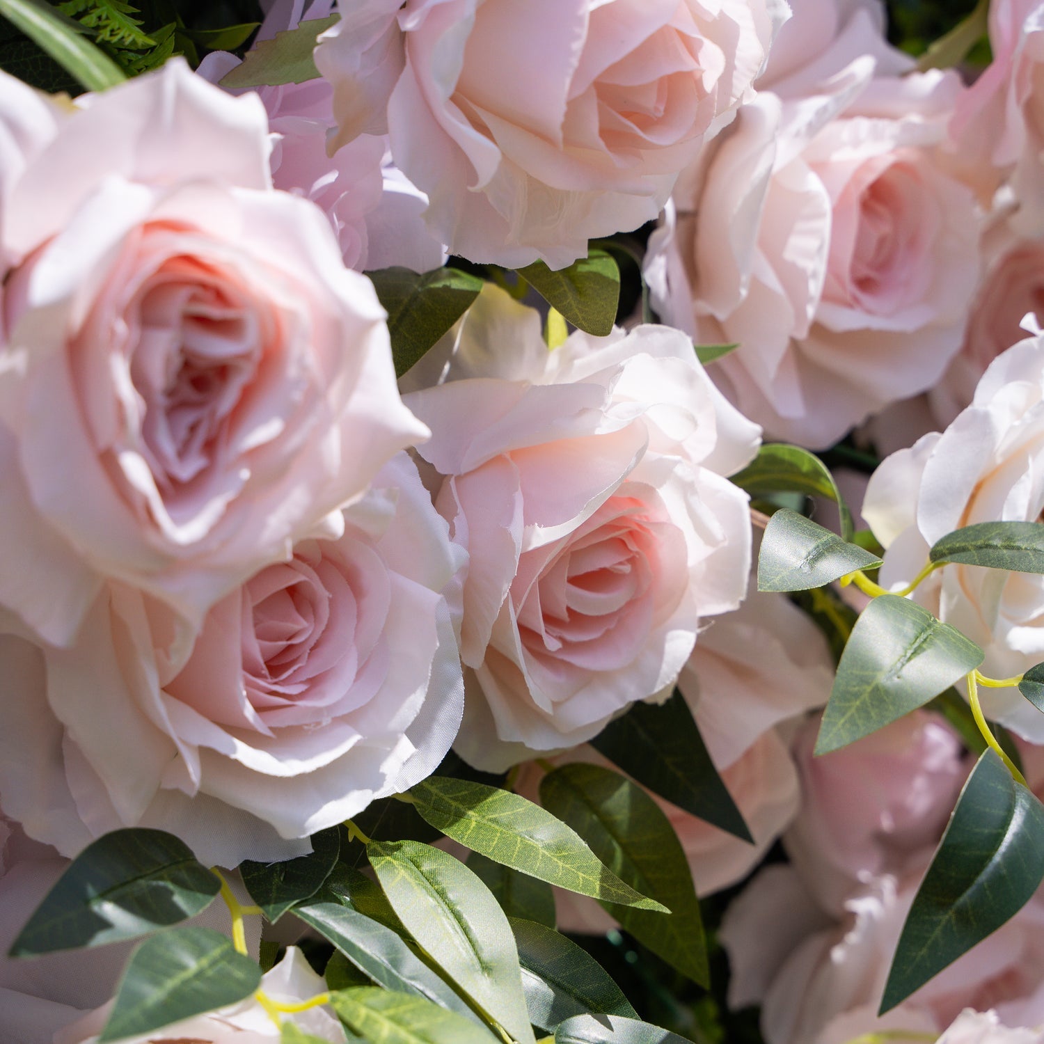 5D Pink Silk Flower Wall Backdrop: Wedding And Event Decoration (8x8ft）