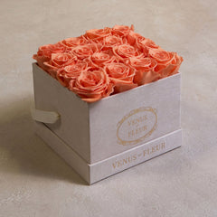 Small Square