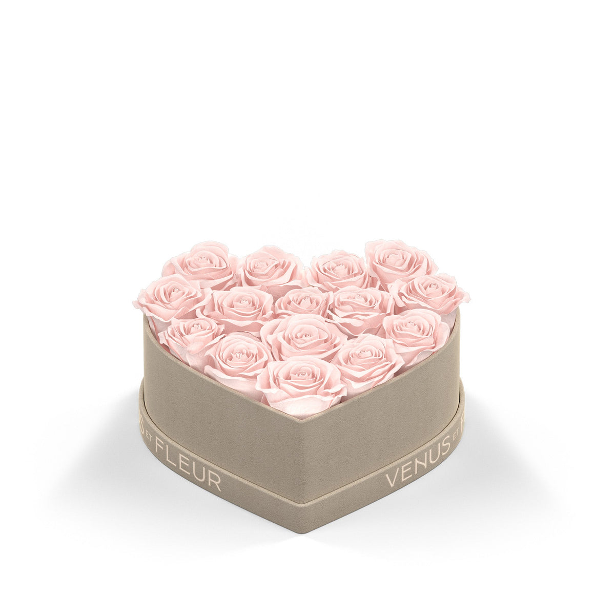 Small Heart