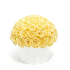 Thalia Porcelain Vase