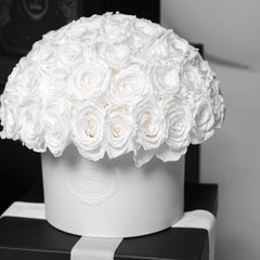Thalia Porcelain Vase